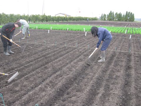 肥料を土壌と混和します