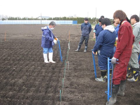 ビート移植用烏口の使い方の説明