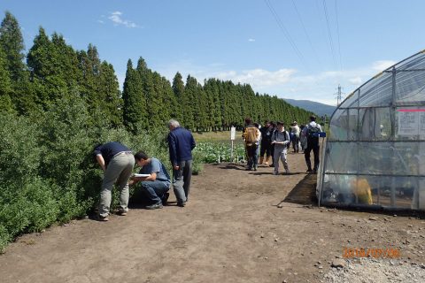 【画像】キャベツ、アスパラ圃場へも多くの人が移動中