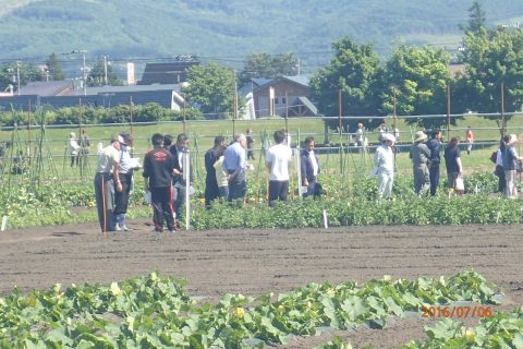 【画像】野菜の露地圃場にも参観者多く訪れました