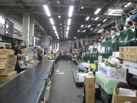 【画像】今度は場所流通センターにある札幌花き市場の視察です