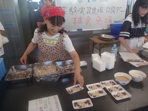 【画像】試食会場も盛況でした。インゲン豆です。