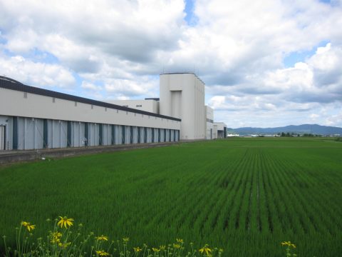 【画像】米ナリー遠景と水田風景