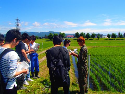 【画像】水稲栽培にも多くの人が集まりました