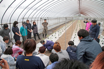 田植えの後はミニトマトの定植です。まずは説明を聞いて