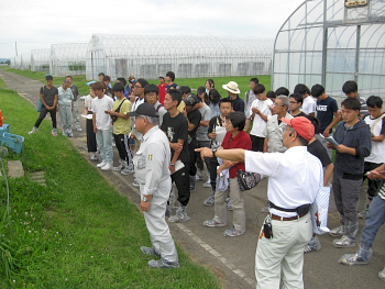 空きハウスを利用したトマト養液栽培試験を詳しく説明していただきました