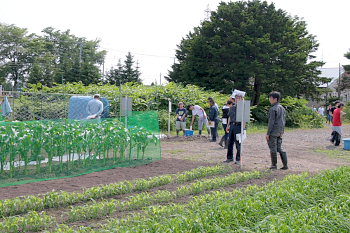 国際学部生圃場にも多くの参加者が足を運んでいただきました