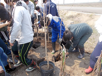 参加者全員で定植しました