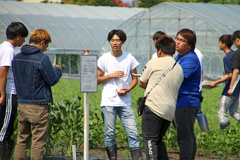 国際学部試験圃場