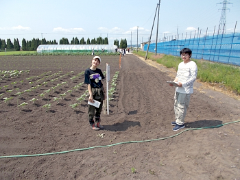 国際学部ヒマワリの試験には興味を持った1年生が