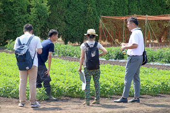 キノアの試験圃場