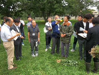 岩見沢ラッカセイ研究会から現物持参で生育状況の説明