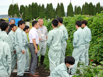 本学ほ場で栽培されている作物も見学しました