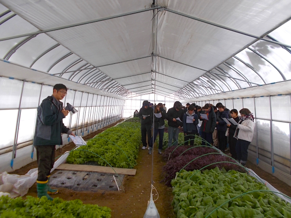 上川農試の地子研究員から冬野菜栽培について説明を受けました