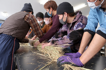 稲わらはもちろん今年も拓大産