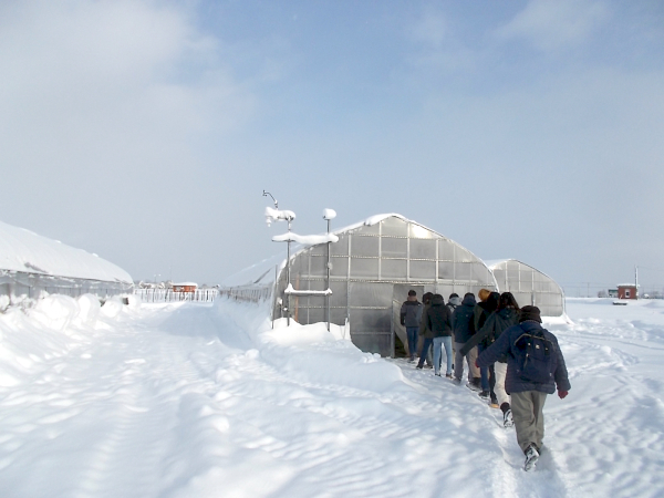 雪の中を冬野菜ハウスに移動します