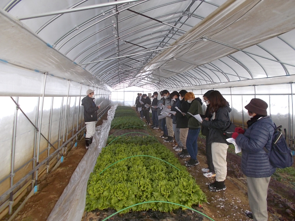 高濱主査から冬野菜栽培の実際について研修を受けました