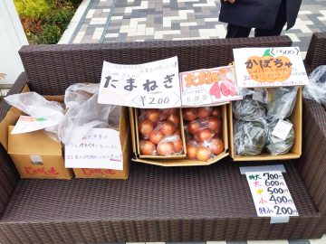 学生により丹精込めて北海道で育てられた野菜たち