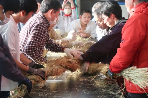 全員で心を込めて綯う（なう）作業