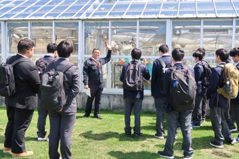 温室を見学~大学の研究って??