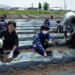 12　仲良く植えています