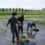 4　転ばないように手植え